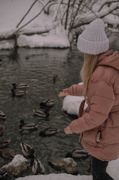 A woman feeds ducks on a snow-covered riverbank, creating a serene winter wildlife scene.