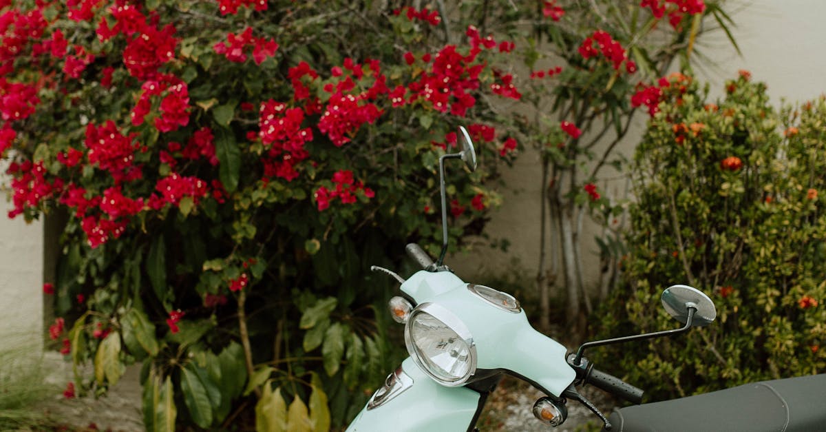 Scooter Parked On The Sidewalk Free Stock Photo scooter-parked-on-the-sidewalk-free-stock-photo