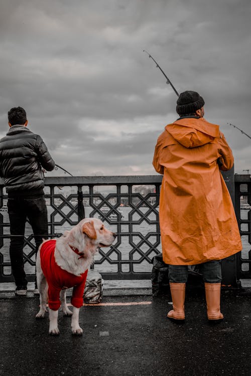 People Fishing  on a Bridge Beside a Dog