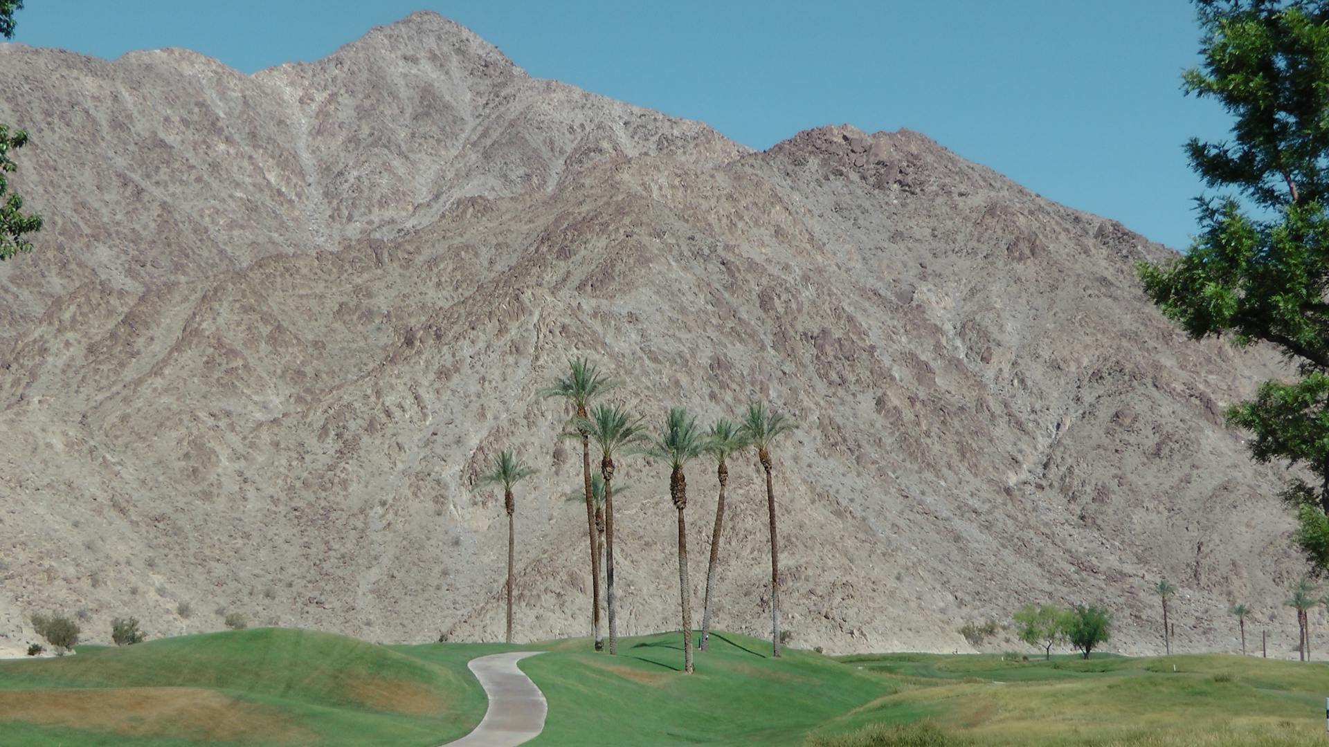 Explore the stunning desert landscape of La Quinta, California, with palm trees and mountain views.