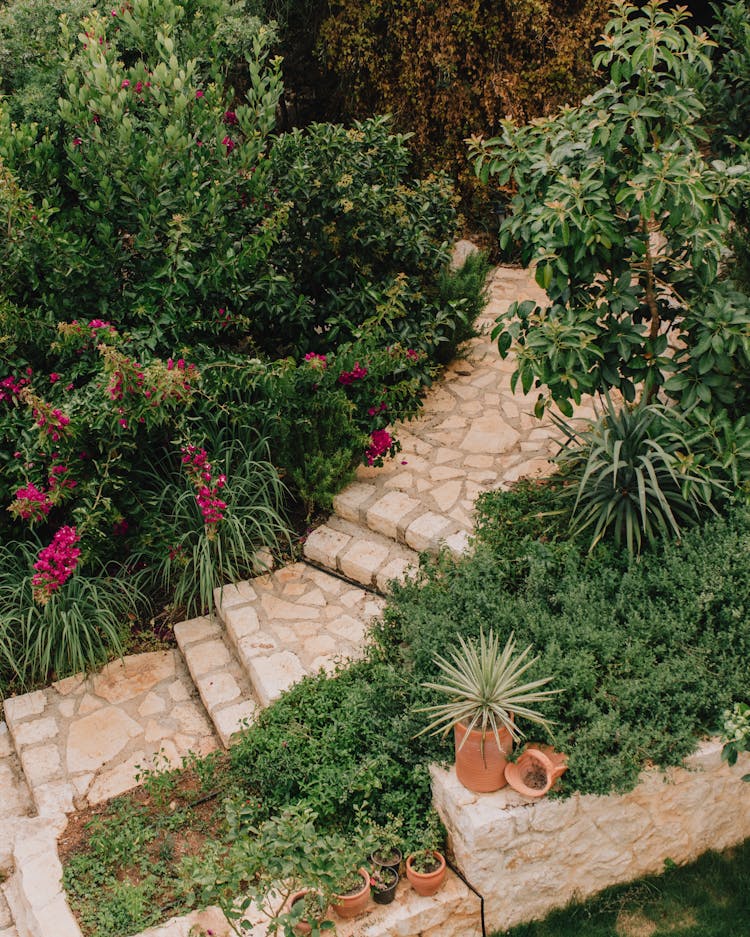 Stone Path Leading Through Flower Bushes In Garden