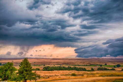 Free A striking landscape of Montana fields under a dramatic cloudy sky, showcasing nature's beauty. Stock Photo