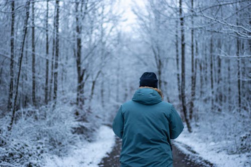 Δωρεάν στοκ φωτογραφιών με άνθρωπος, απεριόριστα δέντρα, κρύος καιρός