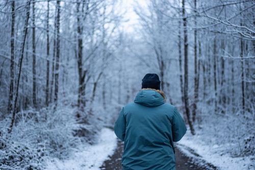 Free Person walks alone in a serene snowy forest, bundled up in winter clothing. Stock Photo