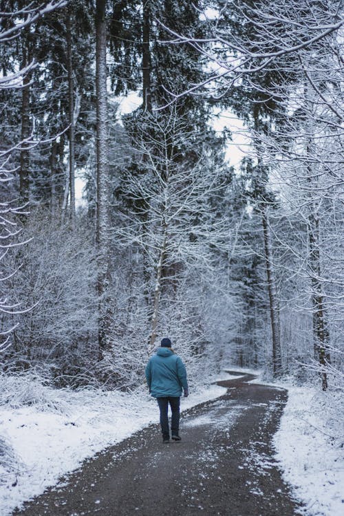 A Man Walking on a Pathway in a Forest during Winter