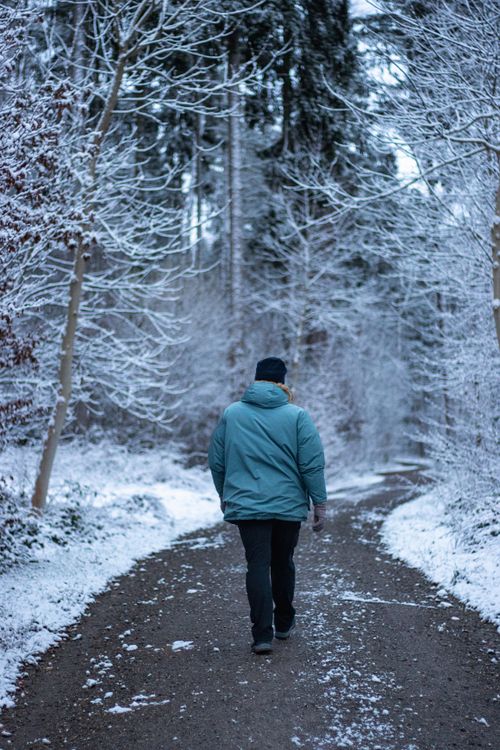 Free A man walks along a snowy path surrounded by winter trees in a tranquil forest. Stock Photo