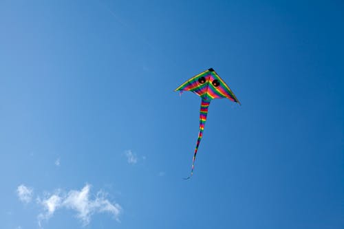 休閒, 夏天, 天空 的 免费素材图片