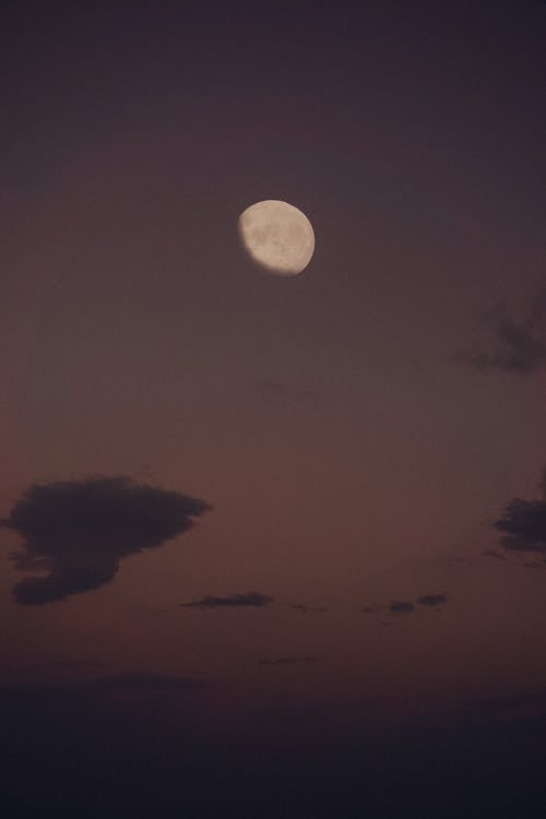 Free Moon on a Gray Sky Stock Photo
