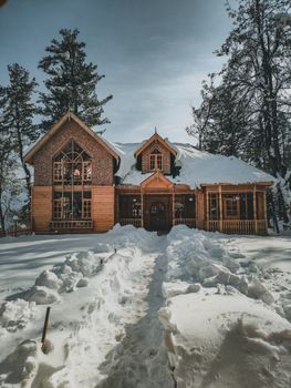 Charming wooden cabin surrounded by snow in a serene winter forest setting.