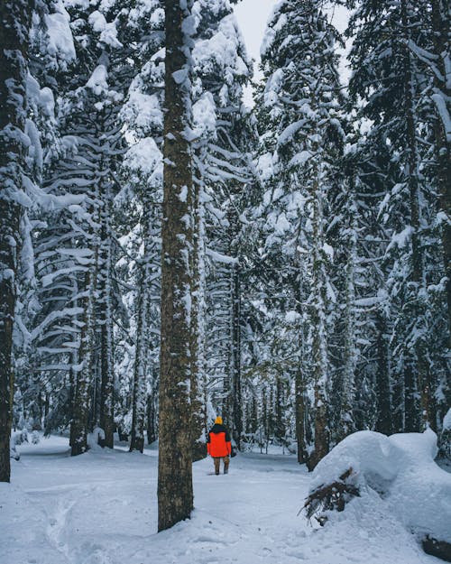 A Person Walking on Snow