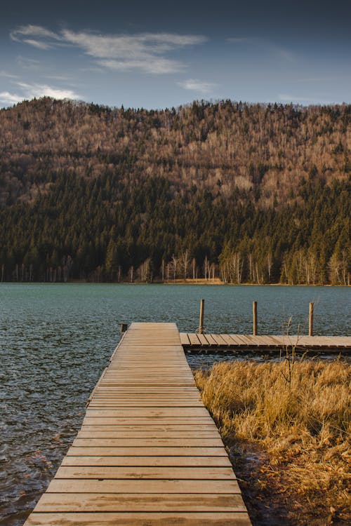 Brown Wooden Dock on Lake