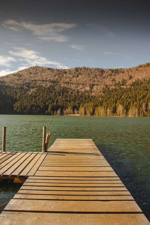 Brown Wooden Dock on Body of Water