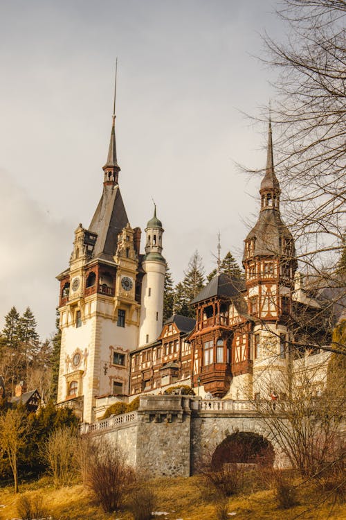 Foto d'estoc gratuïta de arquitectura, bosc, castell