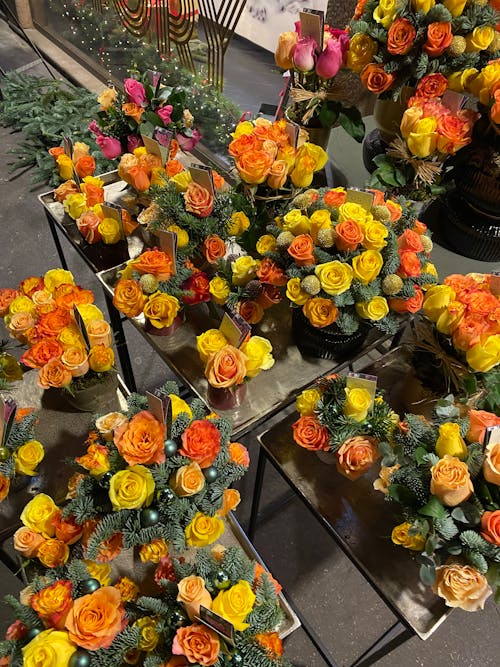Fotos de stock gratuitas de amarillo, flor, naranja
