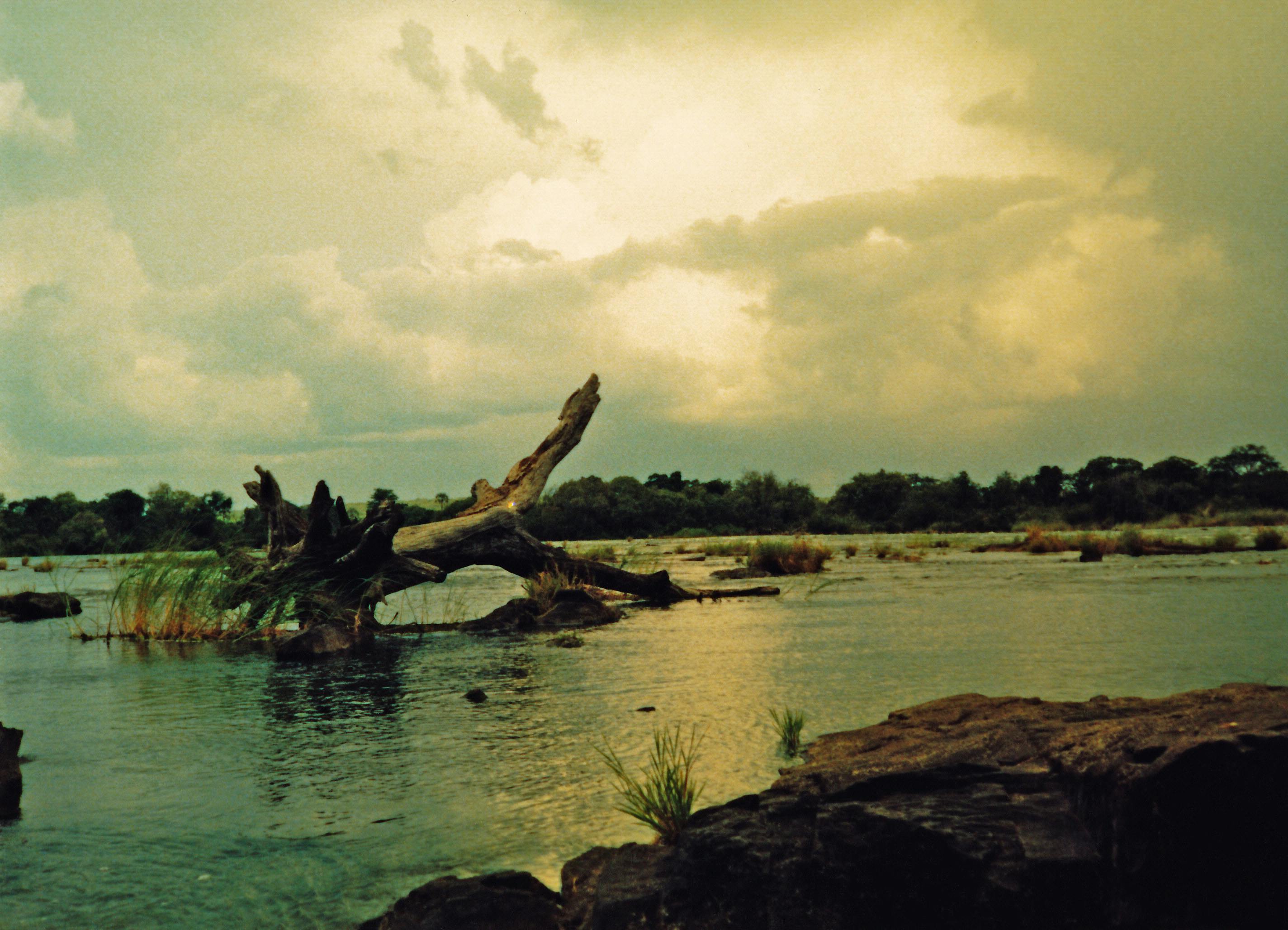 Free stock photo of mighty zambezi, river, spaciousness