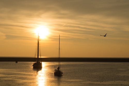 Free Two Boat on Ocean during Golden Time Stock Photo