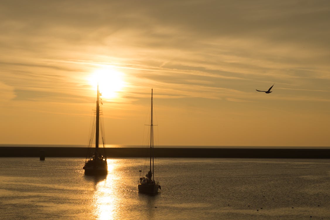 Fotos de stock gratuitas de agua, al aire libre, amanecer