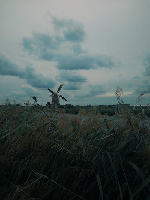 Green Grass Field Under White Clouds