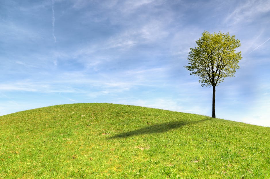 Green Tree on Green Grass Field Under White Clouds and Blue Sky