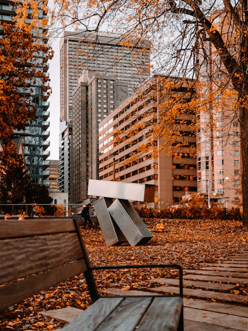 Brown Wooden Bench Near Brown Trees and High Rise Buildings