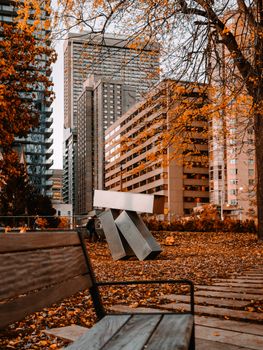 A serene autumn day in a Toronto park with buildings and vibrant fall foliage.