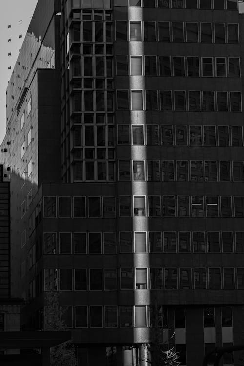 Free Sunlight on Building Facade Stock Photo