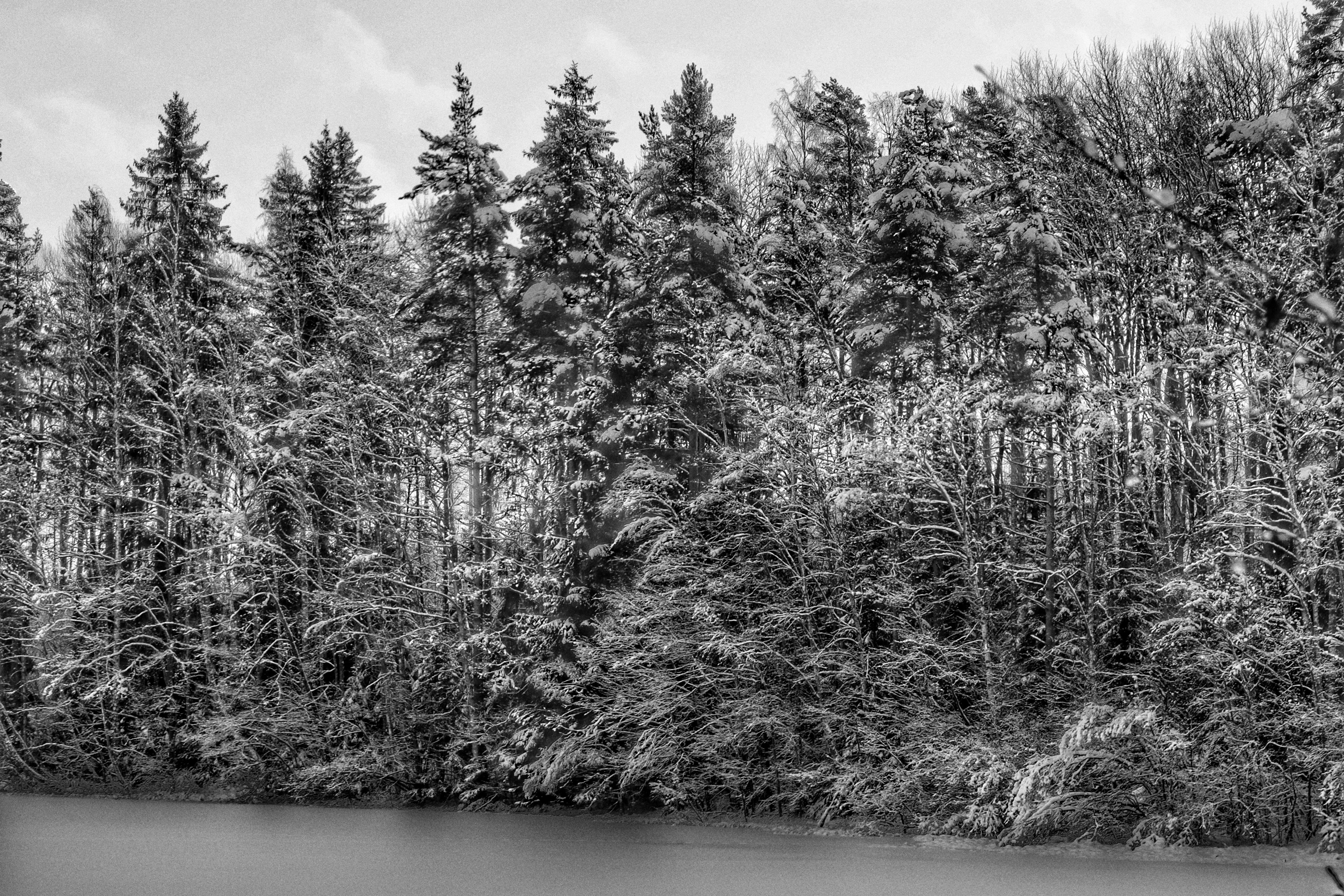 Marina Bay Sands and the Singapore skyline