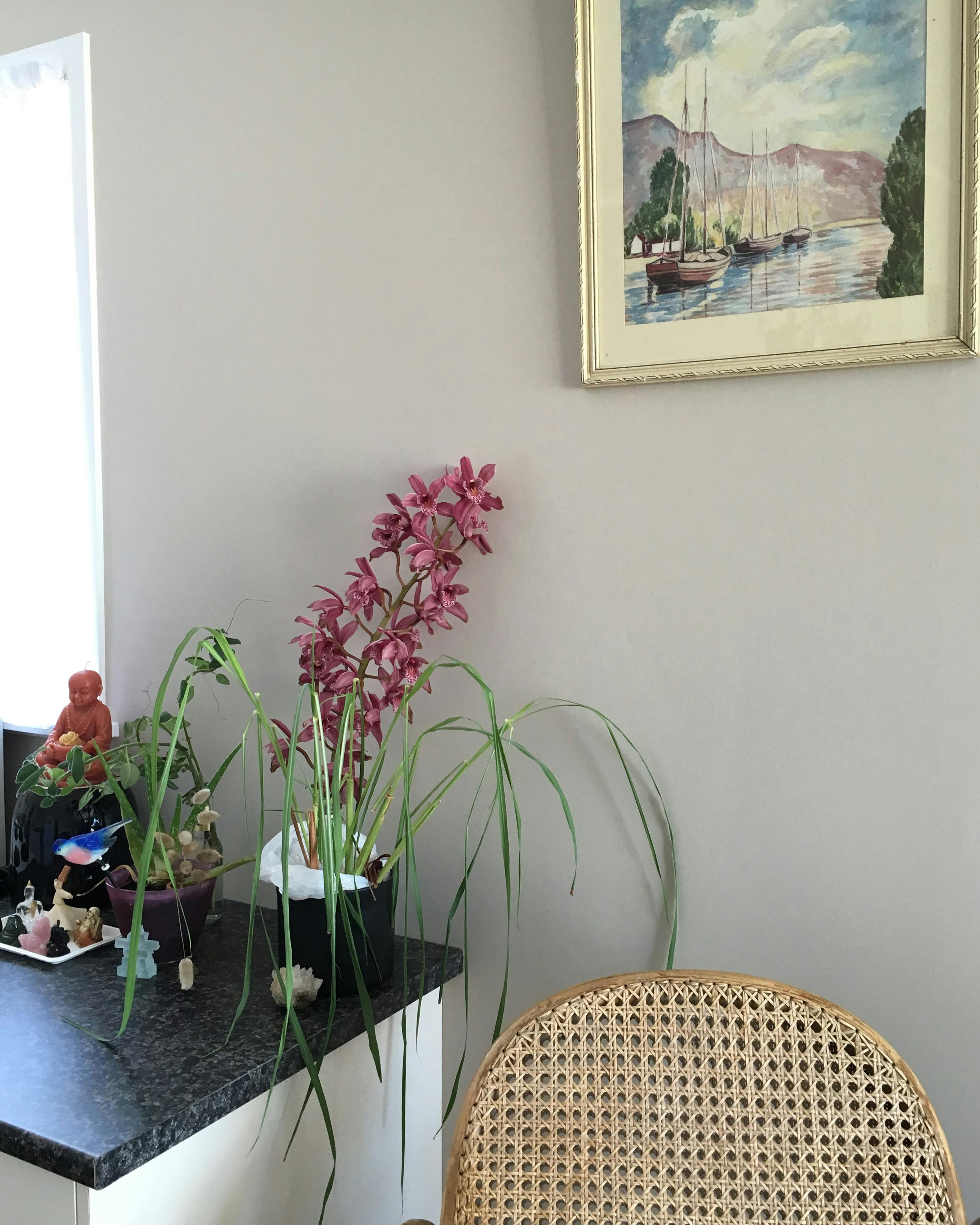 Marché fermier coloré avec des fruits et légumes frais en France