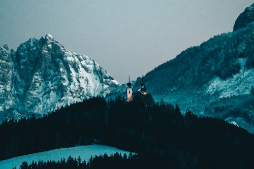 Darmowe zdjęcie z galerii z drzewa, góry, lodowiec