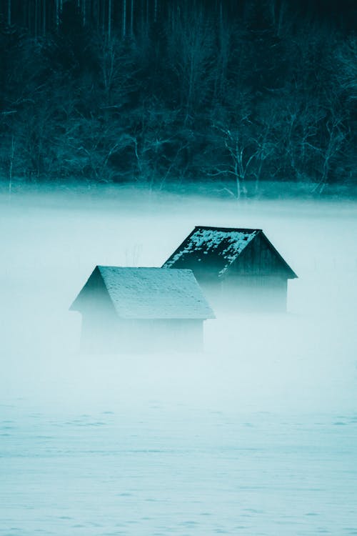 Fotos de stock gratuitas de cobertizos, con niebla, cubierto de nieve