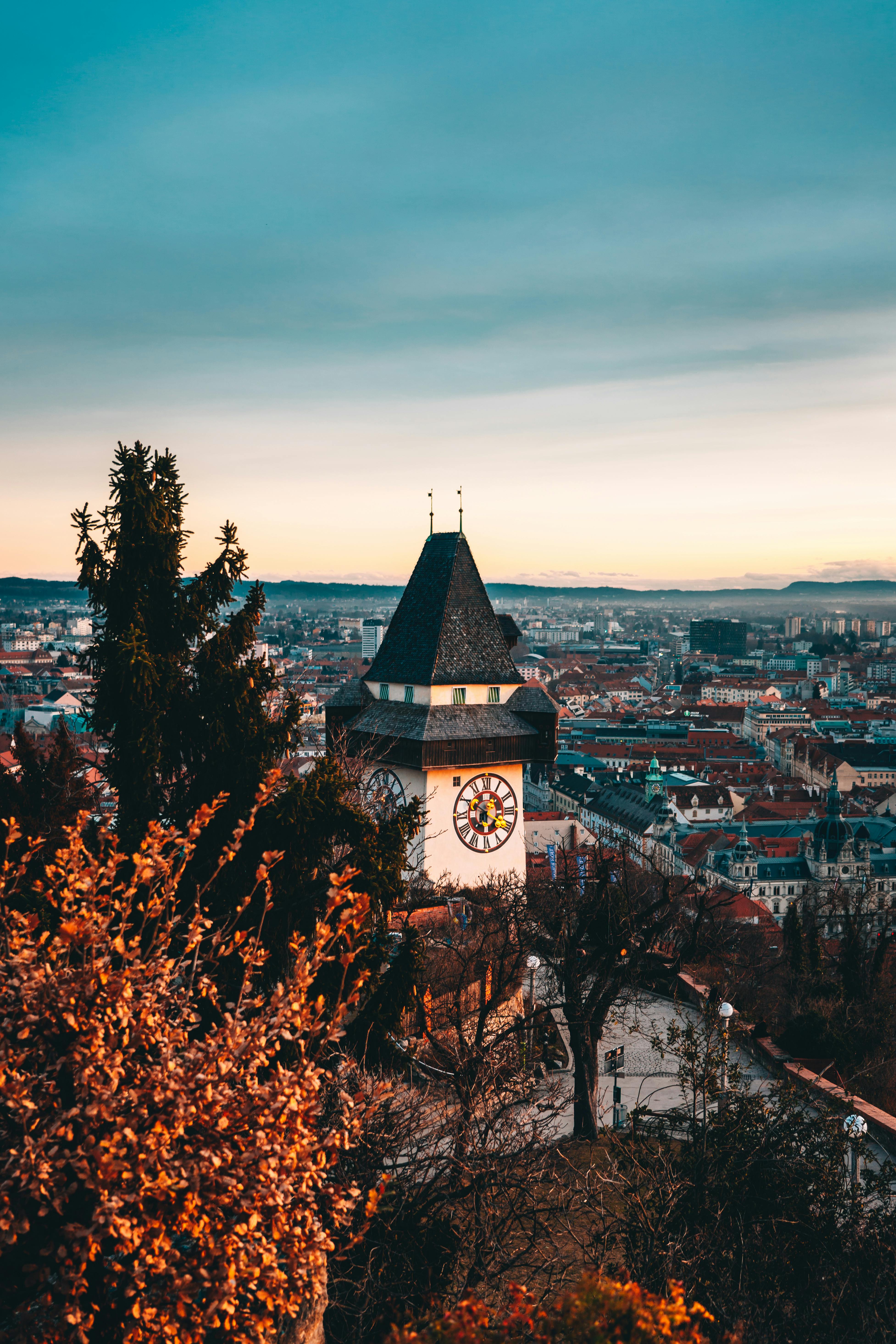 Clock Tower Near Trees · Free Stock Photo