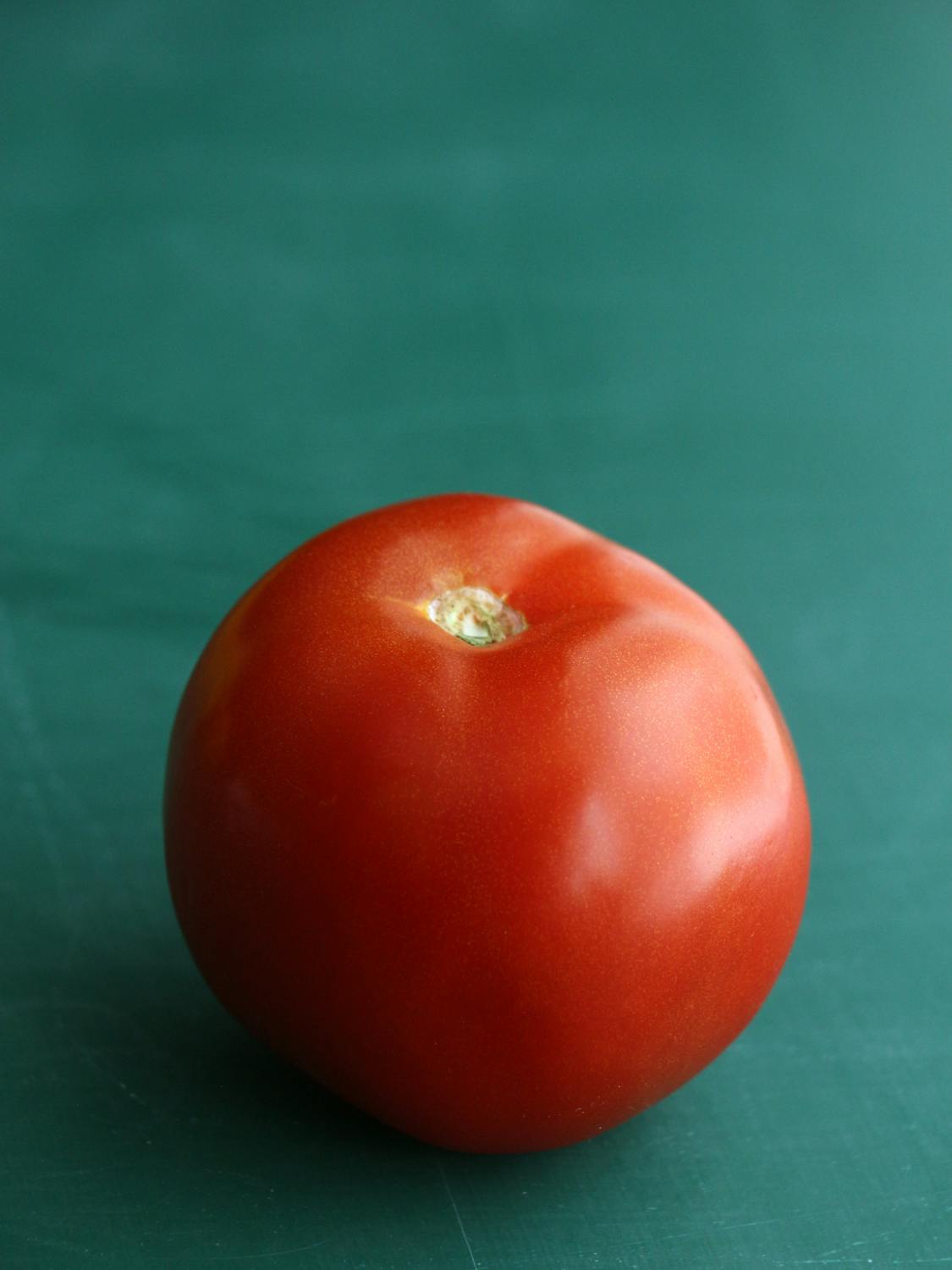 what is a Hybrid tomato