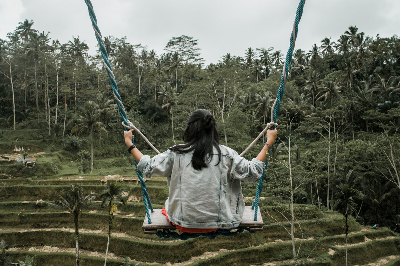 Bali Swing & Coffee Plantation