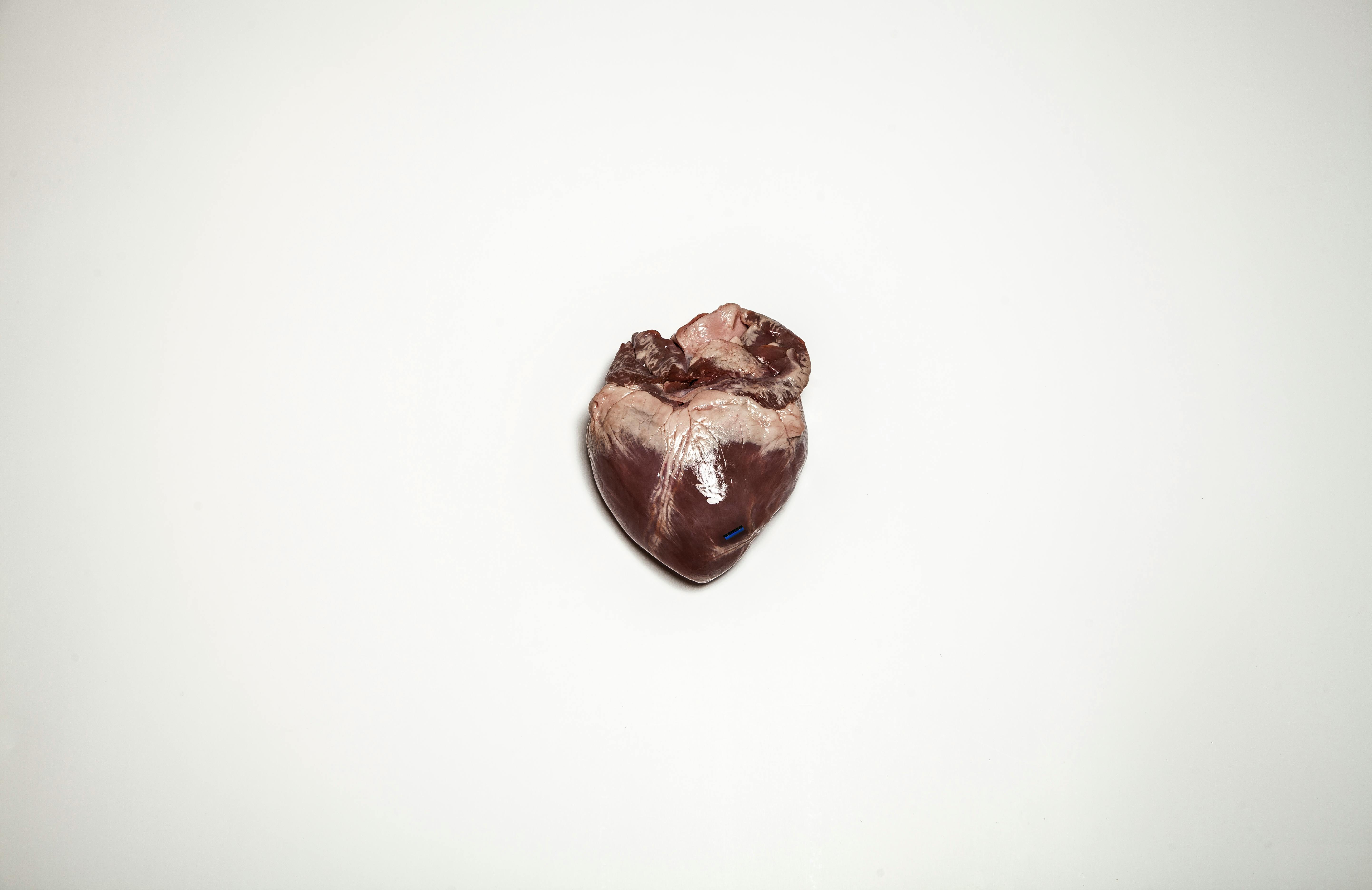 brown heart shaped stone on white surface