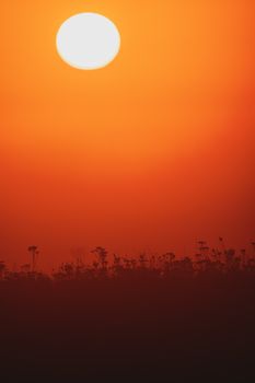 Stunning sunset over an English landscape with silhouette and vibrant orange sky.