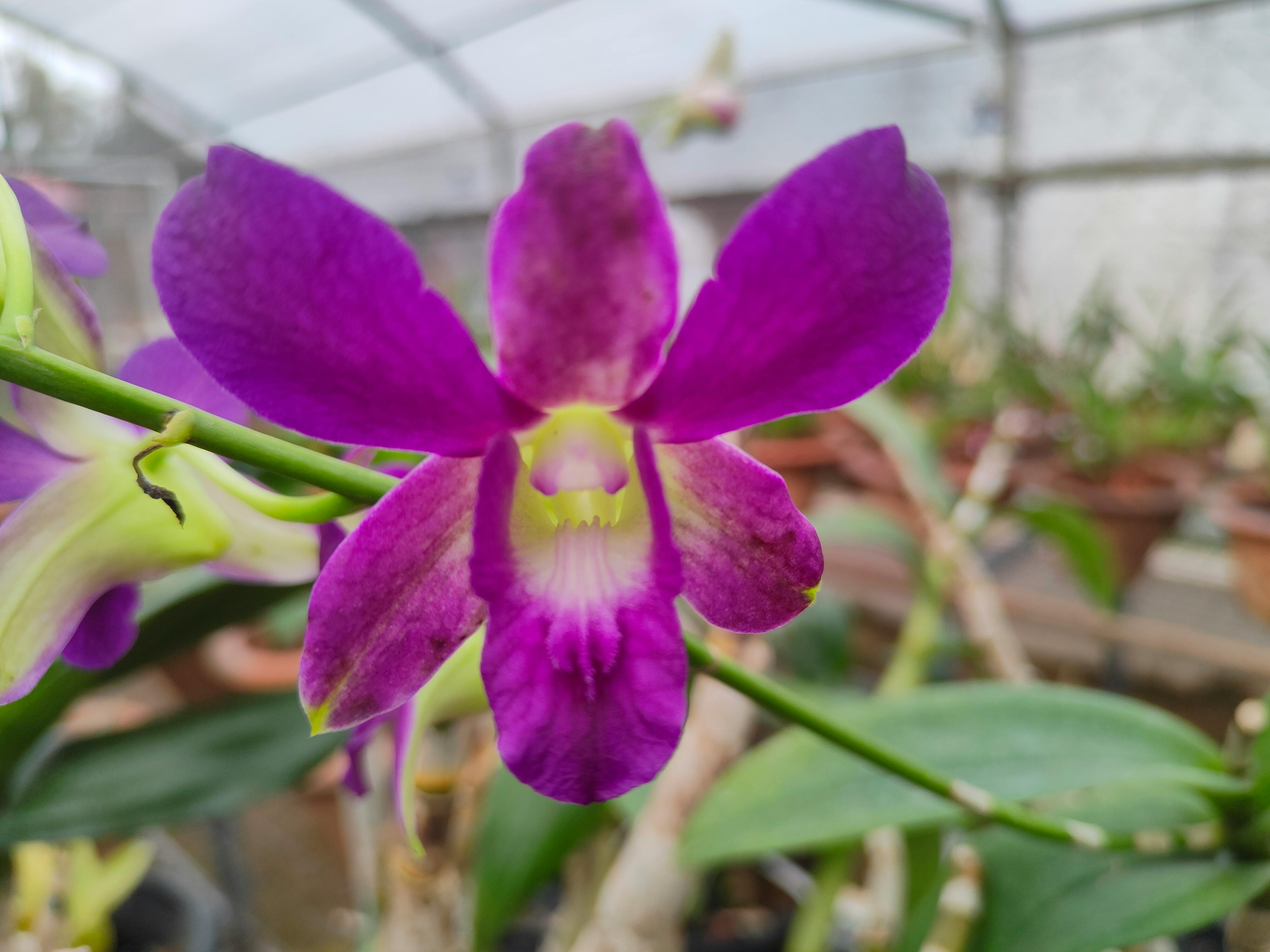 星空と星座のシンボル