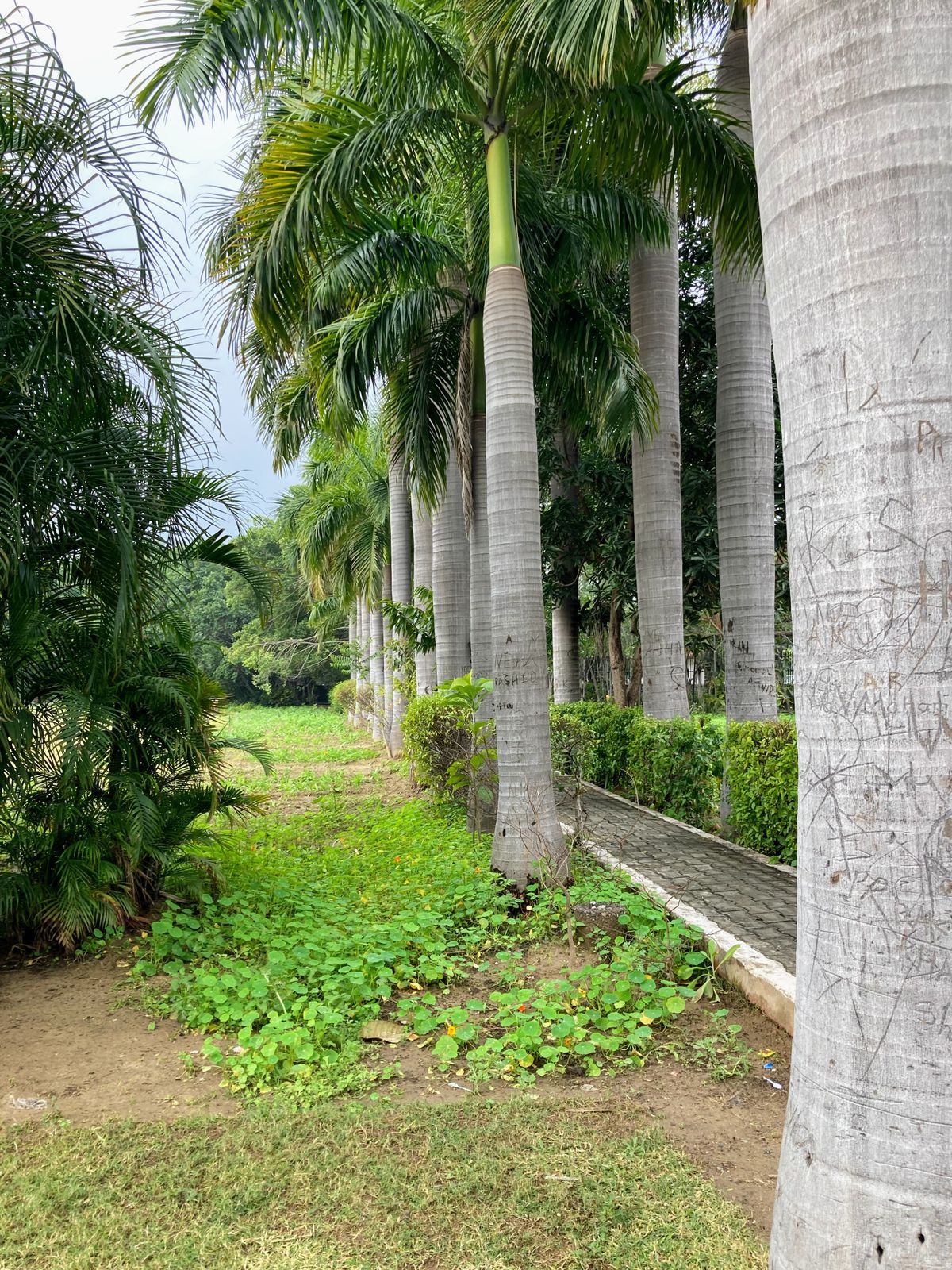 Greater Noida Villa Plot