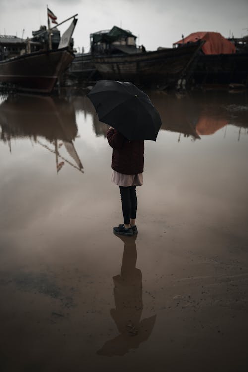 Základová fotografie zdarma na téma deštník, kalamita, krajina