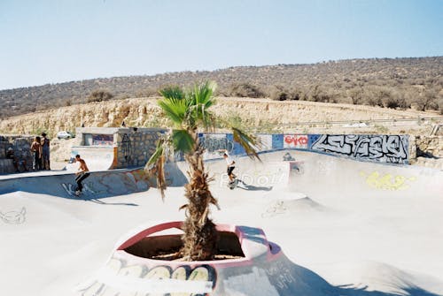 Fotos de stock gratuitas de hombres, patinadores, patinando con monopatín