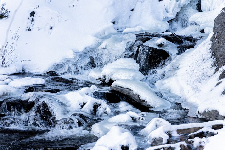 4. Franz Josef & Fox Glaciers: Icy Rivers Flowing Through Rainforests 4. Franz Josef & Fox Glaciers: Icy Rivers Flowing Through Rainforests