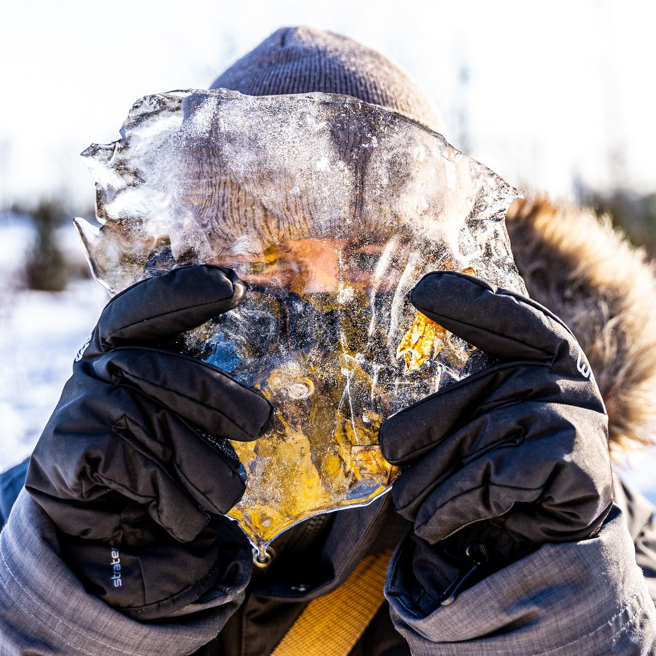 Close-up image of a person holding a translucent piece of ice outdoors in winter.