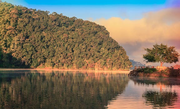 宁静的湖景、郁郁葱葱的森林，以及日落时分湖面宁静的倒影