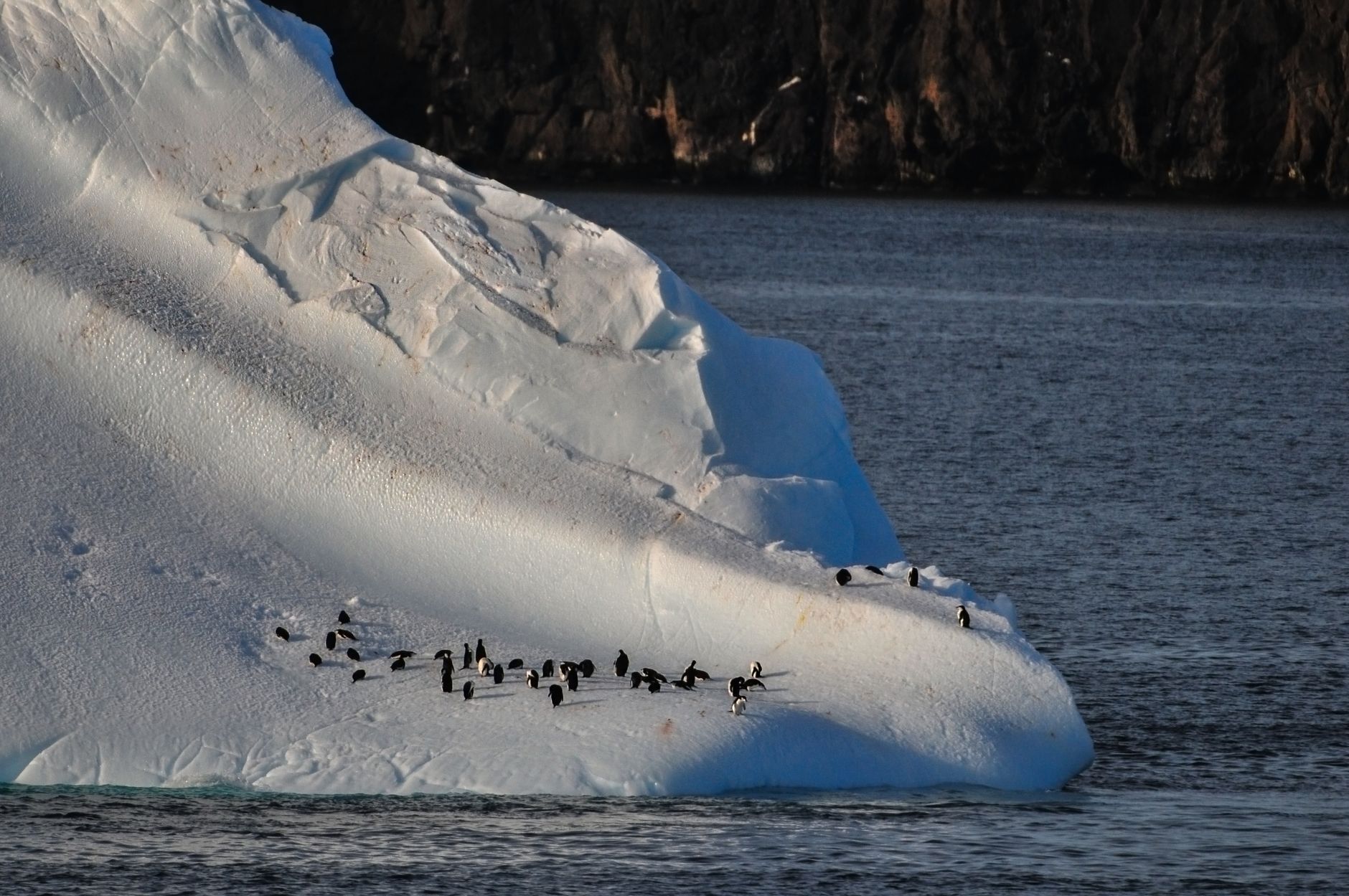 Antarctica, Antarctica