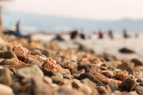 Бесплатное стоковое фото с вода, глубина резкости, закат