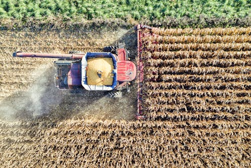 Heavy Machine Tractor Harvesting Crops on an Agricultural Farmland