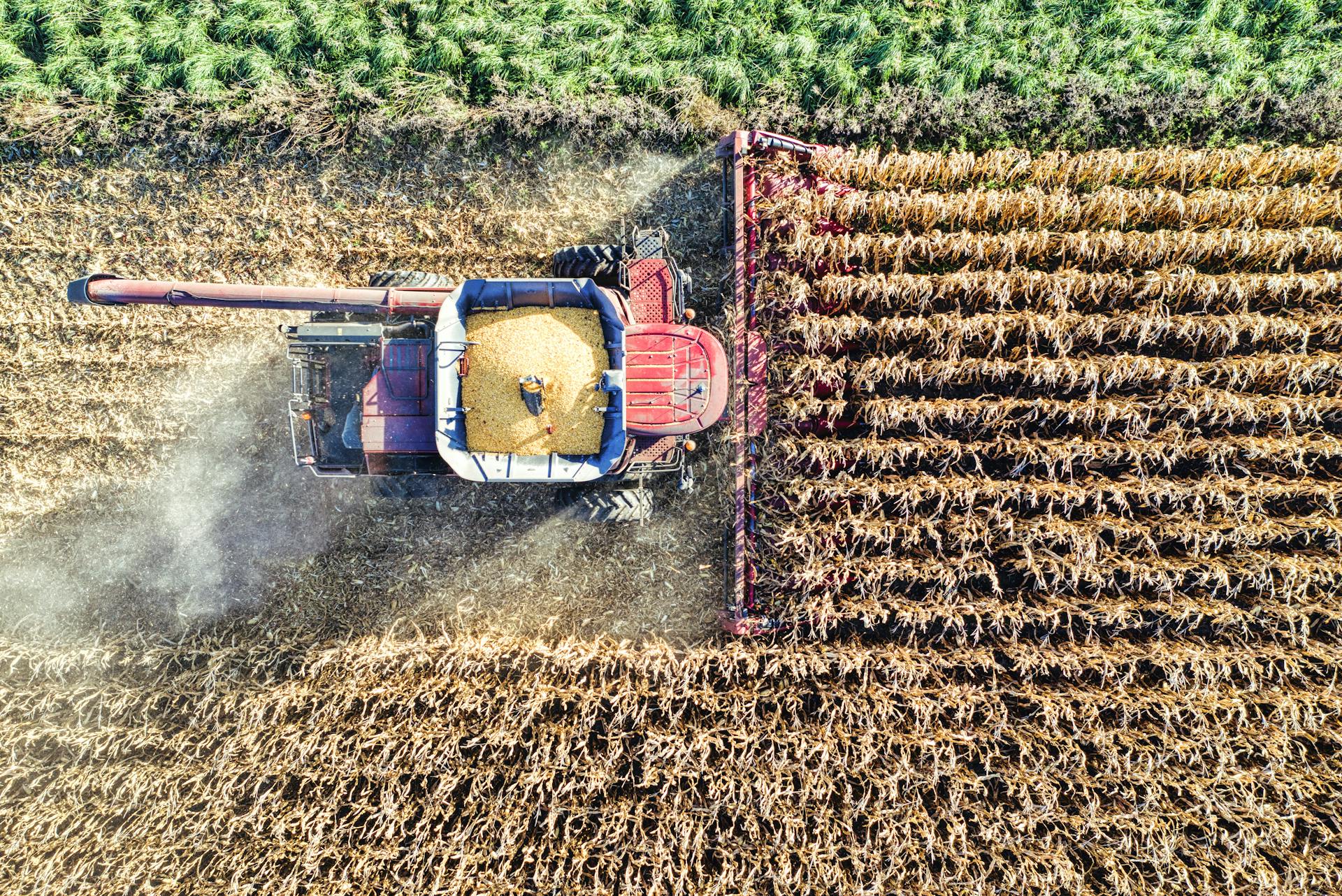 Heavy Machine Tractor Harvesting Crops on an Agricultural Farmland