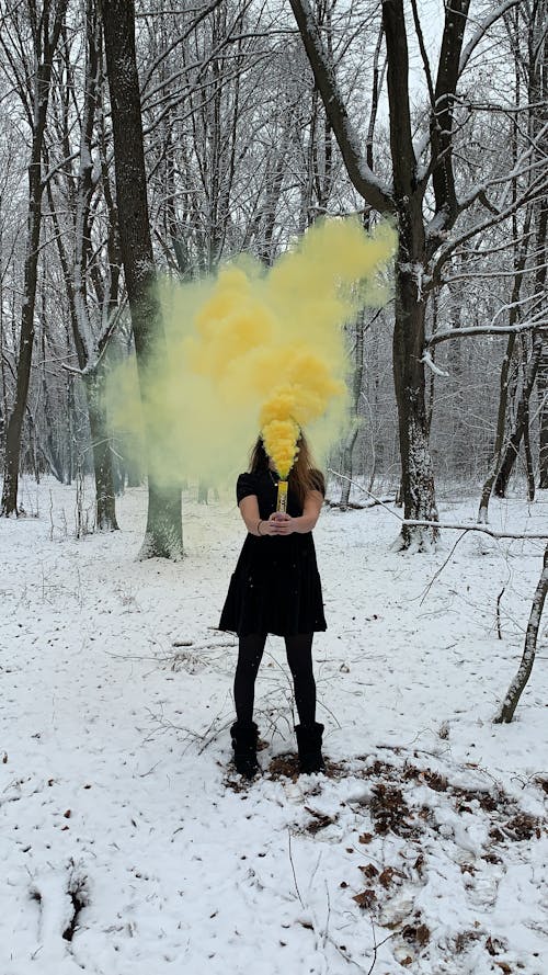 Бесплатное стоковое фото с голые деревья, дымовая шашка, женщина