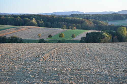 Gratis lagerfoto af landbrug, landbrugsareal, landbrugsjord