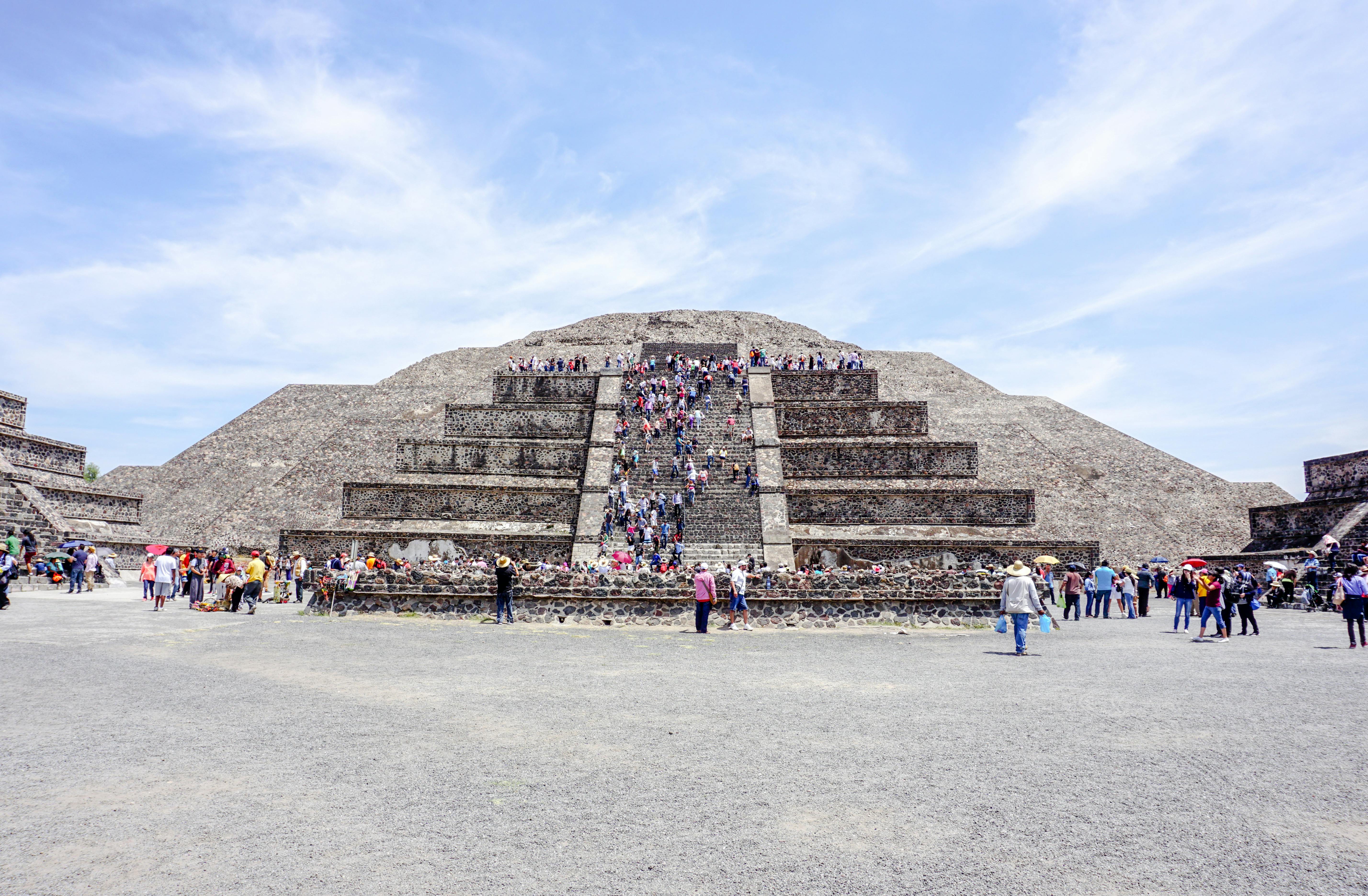 不同种类的中国茶叶