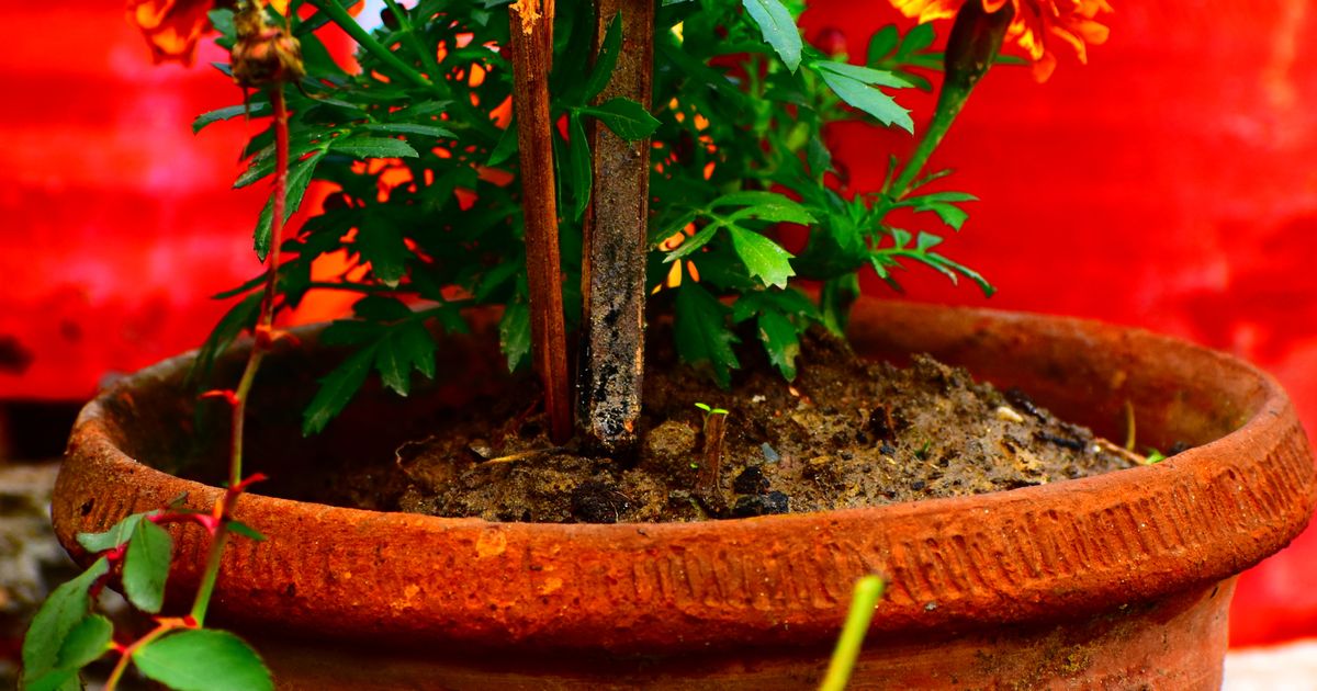 Balcony garden drainage solutions β practical guide overview
